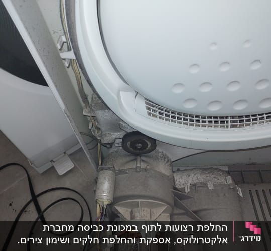 חלק פנימי של מייבש כביסה עם מנוע וחוטים